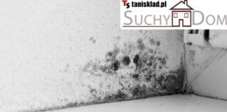 Jak pozbyć się wilgoci z fundamentów