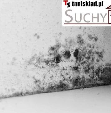 Jak pozbyć się wilgoci z fundamentów? Rozwiązanie problemu z preparatem „Suchy Dom” Jak pozbyć się wilgoci z fundamentów