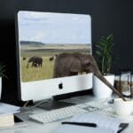 ochrona-twierdza (125)