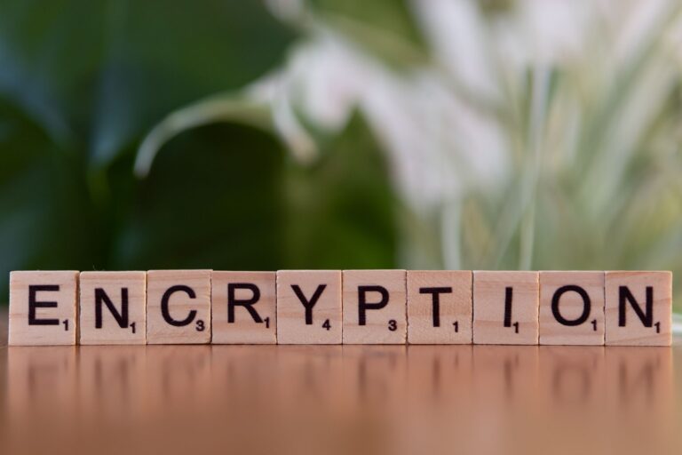 Drewniane klocki z napisem encryption symbolizujące bezpieczeństwo danych